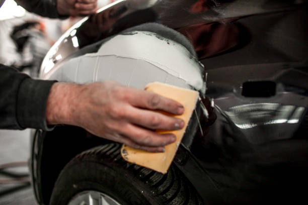 Trusted Gray, GA Mold Removal Experts