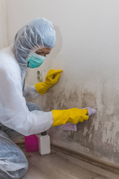 Best Comprehensive Air Testing for Mold Contaminants  in Gray, GA