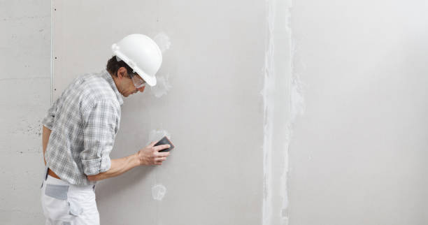 Best Forensic Mold Investigation  in Gray, GA