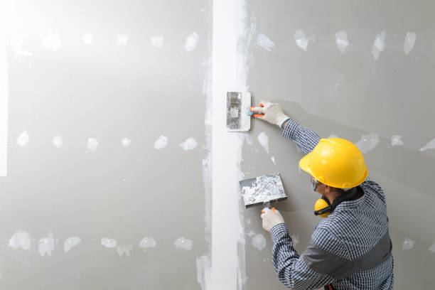 Best Basement Mold Removal  in Gray, GA