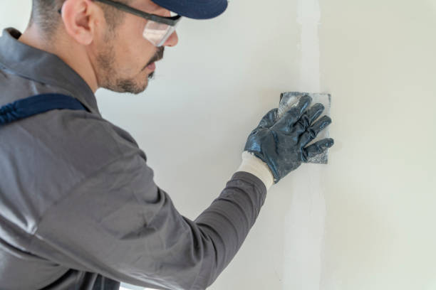 Best Mold Removal for HVAC Installations  in Gray, GA