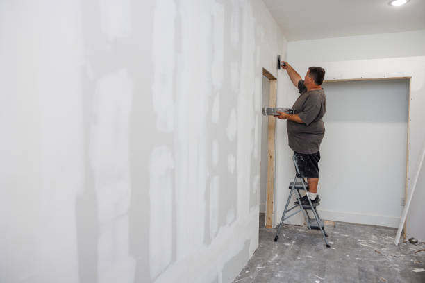 Best Mold Remediation for Healthcare Facilities  in Gray, GA