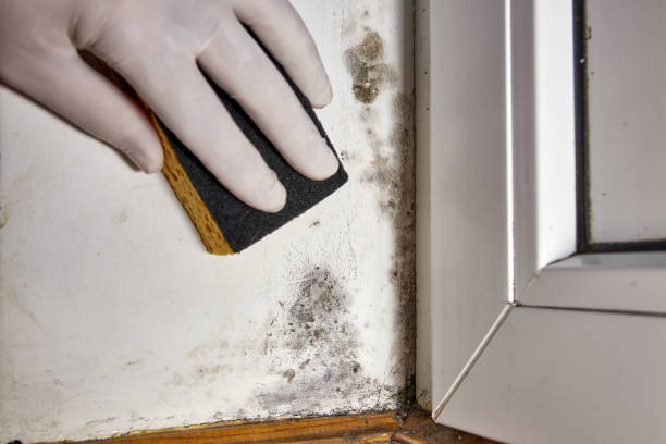 Best Indoor Air Quality Assessment  in Gray, GA