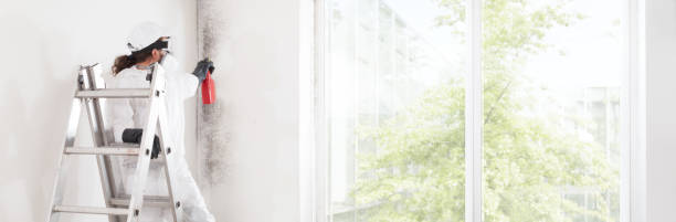 Best Air Quality Testing for Mold Spores  in Gray, GA