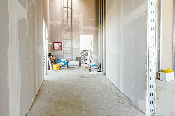 Best Airborne Mold Testing  in Gray, GA