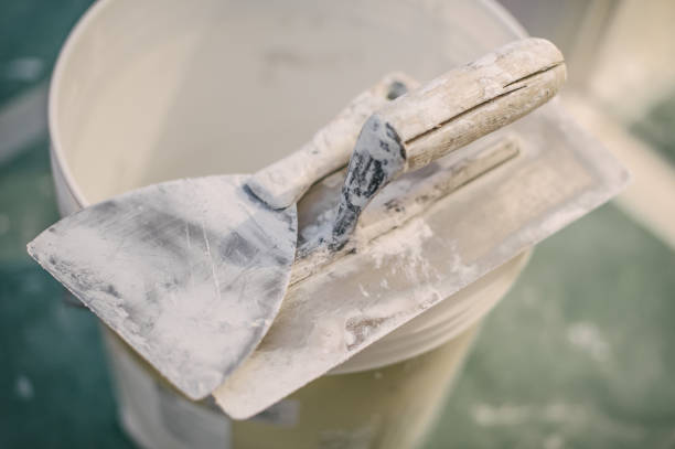 Best Mold Documentation for Insurance Claims  in Gray, GA